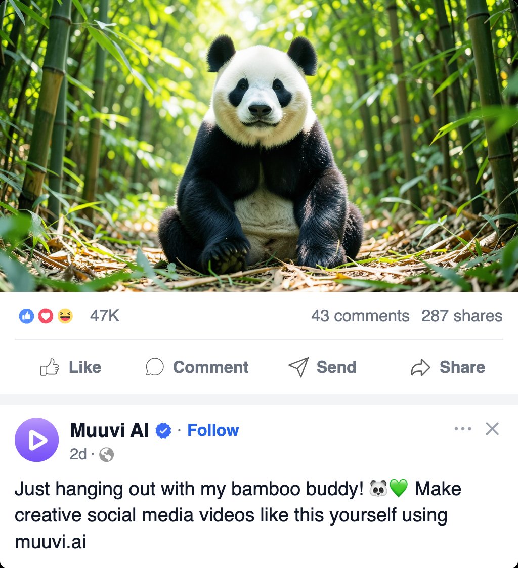 Panda Bear Dance Popout Facebook Video Template