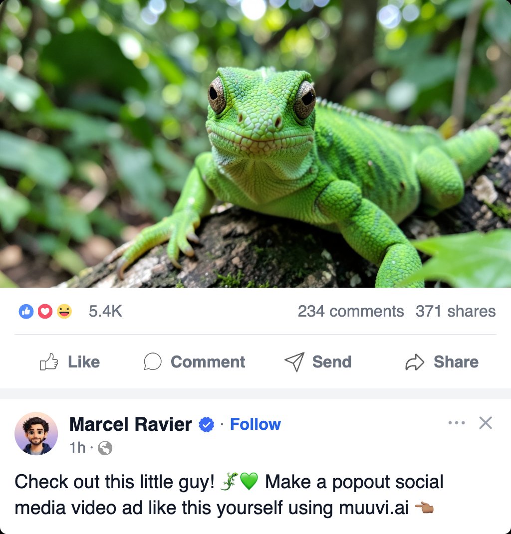 Gecko Popout Video Facebook Post Template